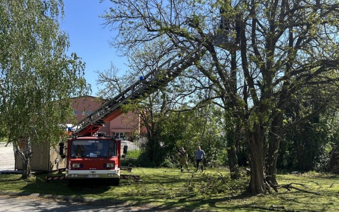 Zahvala vatrogascima Grada Čazme