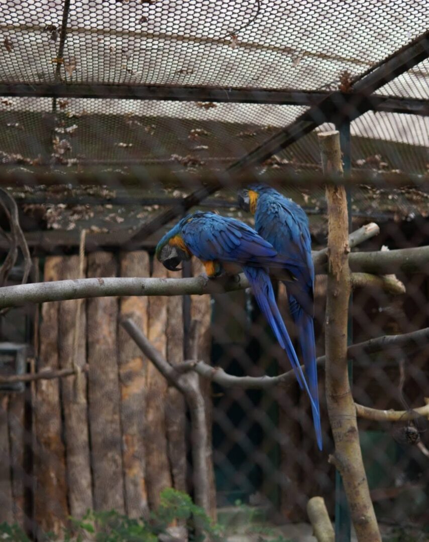 botanicki_zoo_06